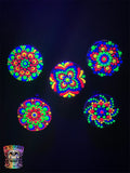 Set of 5 Blacklight Dot Magnets