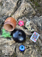 Mystery Acorns