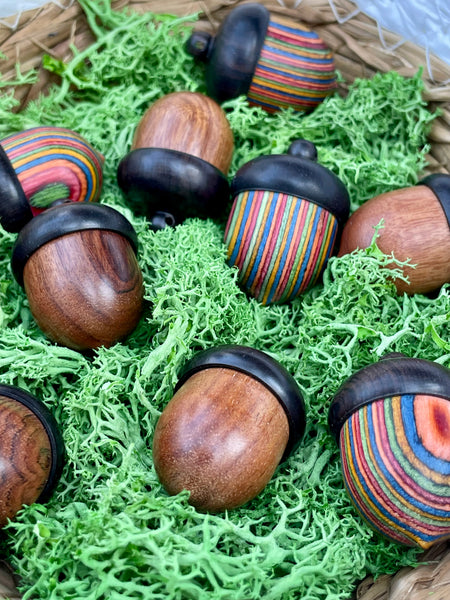 Mystery Acorns